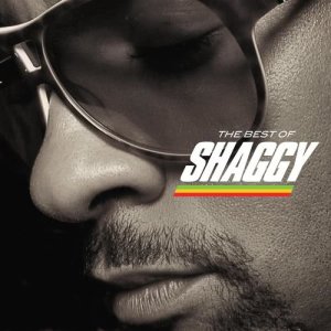 ดาวน์โหลดและฟังเพลง In The Summertime พร้อมเนื้อเพลงจาก Shaggy