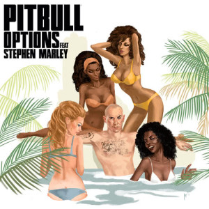 Pitbull的專輯Options