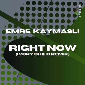 Listen to Right Now (Ivory Child Remix) song with lyrics from Emre KAYMASLI