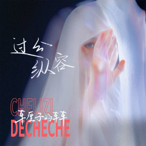 收听车厘子的车车的过分纵容 (伴奏)歌词歌曲