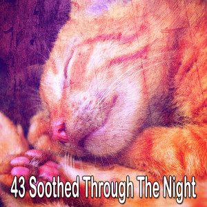 SPA的专辑43 Soothed Through the Night