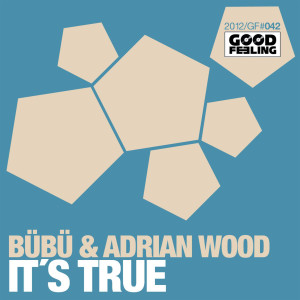 Listen to It's True (Dub Mix) song with lyrics from Bubu and the Brood