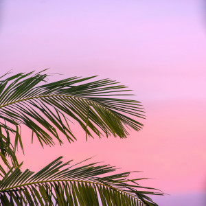 Listen to Sunlight song with lyrics from iluvu