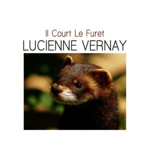 Lucienne Vernay的專輯Il court le furet