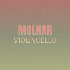Listen to Violence Feuilles song with lyrics from Jermie Willem