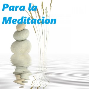 Animo的專輯Para la Meditacion