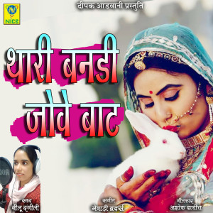 Listen to Thari Bandi Jove Baat song with lyrics from Neelu Rangili