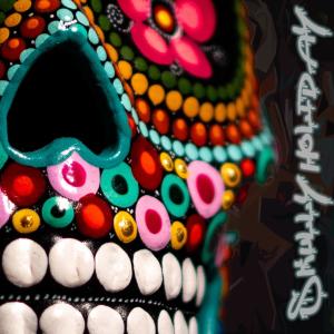 Album Skully Holiday from 