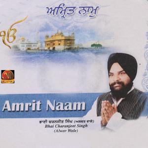 收听Bhai Charanjeet Singh的Taran Karta Jo Kare歌词歌曲
