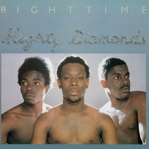 ดาวน์โหลดและฟังเพลง I Need A Roof (2001 Digital Remaster) พร้อมเนื้อเพลงจาก The Mighty Diamonds