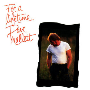 ดาวน์โหลดและฟังเพลง For A Lifetime พร้อมเนื้อเพลงจาก David Mallett