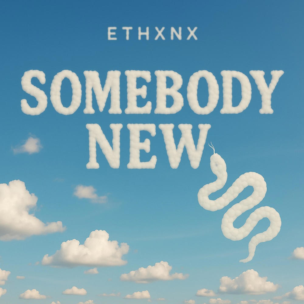 Somebody New (feat. malloy x sovde x mzsytery) (Explicit)