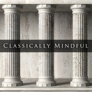 Chopin----[replace by 16381]的專輯Classically Mindful: Vivaldi