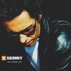 ดาวน์โหลดและฟังเพลง Allt Jag Behöver พร้อมเนื้อเพลงจาก Skinny