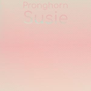 Album Pronghorn Susie from Various Artists