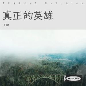 Listen to 真正的英雄 (完整版) song with lyrics from 王松