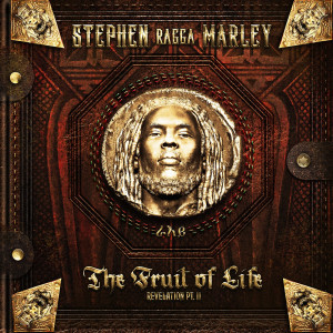 ดาวน์โหลดและฟังเพลง Rock Stone พร้อมเนื้อเพลงจาก Stephen Marley