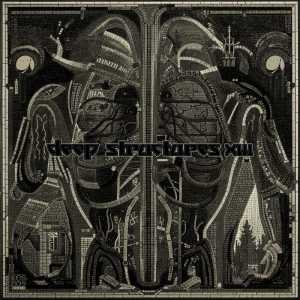 Various Artists的專輯V/A Deep Structures XIII