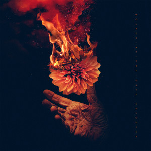 ดาวน์โหลดและฟังเพลง Stop the Bleeding (Acoustic) พร้อมเนื้อเพลงจาก Wolves at the Gate