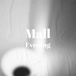 Various Artists的專輯Mall Evening