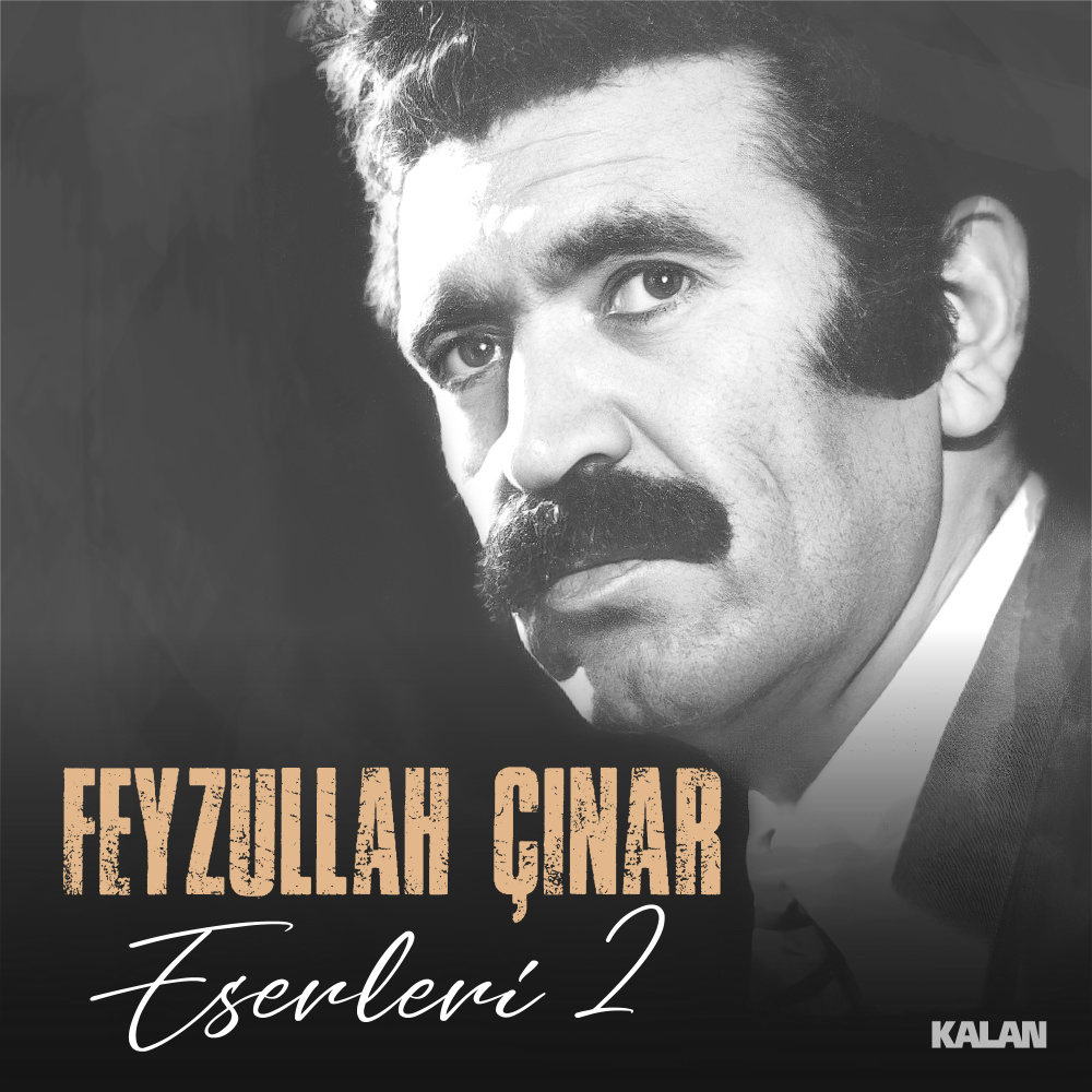 Çok Şükür Minnet Hüdaya (Feyzullah Çınar Eserleri 2)