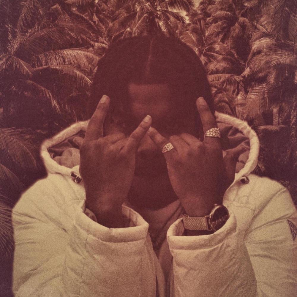 Just Did It (feat. Young John) (Explicit)