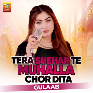 Gulaab的專輯Tera Shehar Te Muhalla Chor Dita