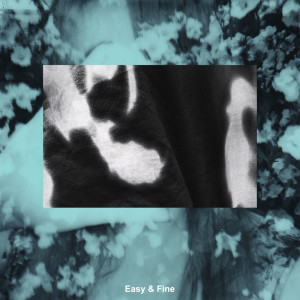 Listen to Easy & Fine (Explicit) song with lyrics from tio