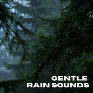 ดาวน์โหลดและฟังเพลง Gentle Rain Sounds Solace พร้อมเนื้อเพลงจาก Gentle Nature