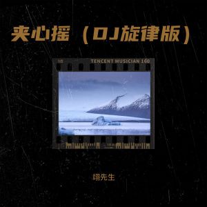Listen to 抖音夹心摇（DJ旋律版） (完整版) song with lyrics from 翊先生
