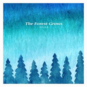 Album The Forest Grows from 