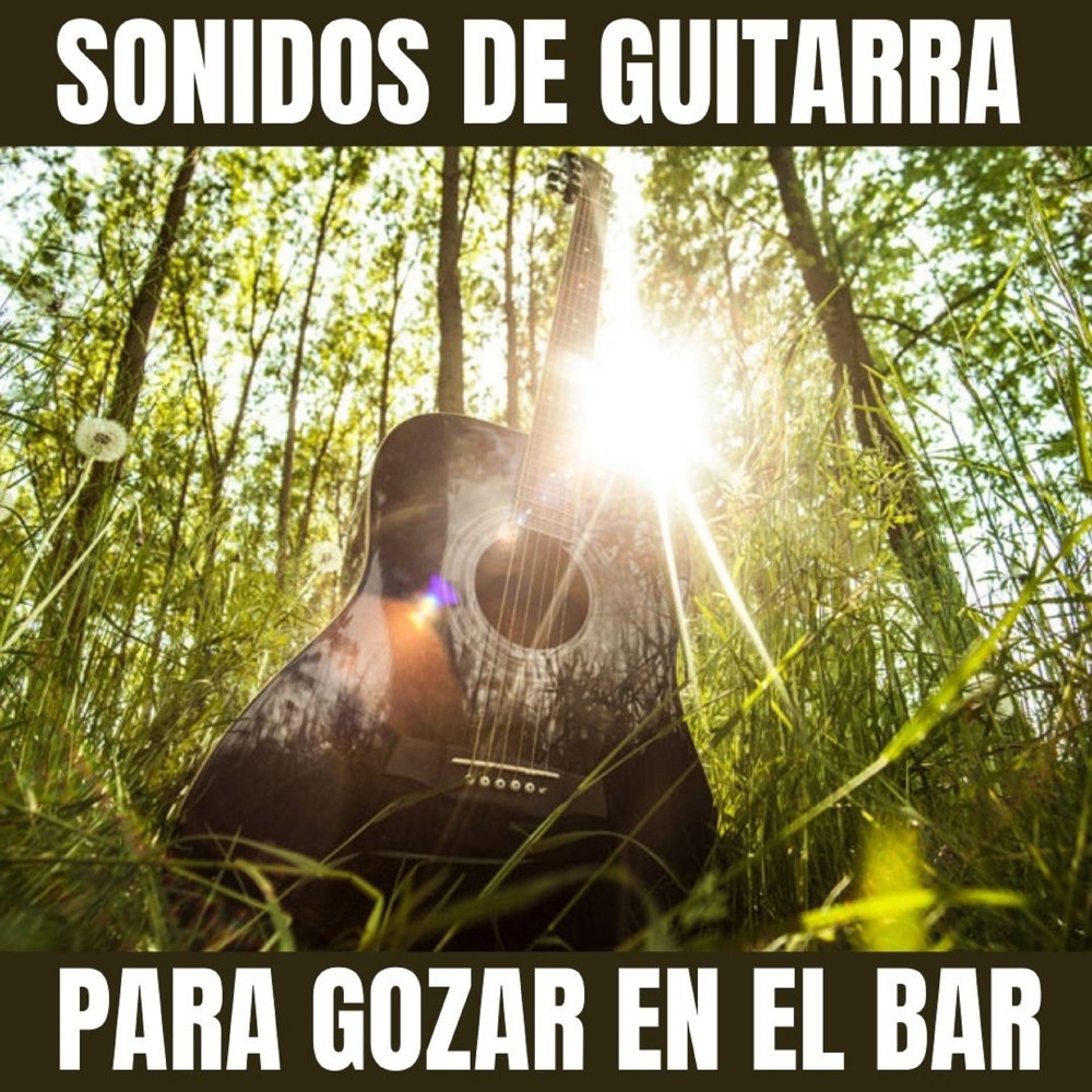 Vive Guitarra