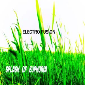 Electro Fusion的專輯Splash of euphoria