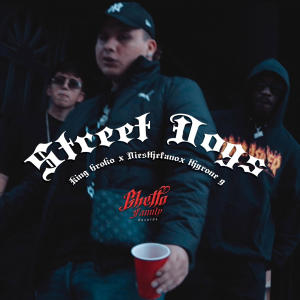 ดาวน์โหลดและฟังเพลง Street dogs (feat. Kingbroko & Gtyrone) (Explicit) พร้อมเนื้อเพลงจาก diesthefano