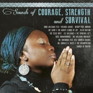 ดาวน์โหลดและฟังเพลง Been in the Storm พร้อมเนื้อเพลงจาก Joe Ligon