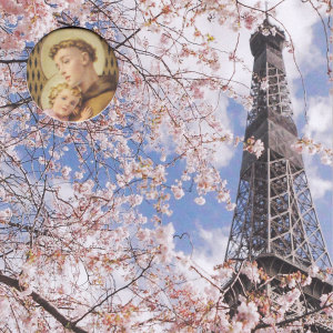 Album Avenue With Trees (A Second Language Cornucopia) from Various Artists