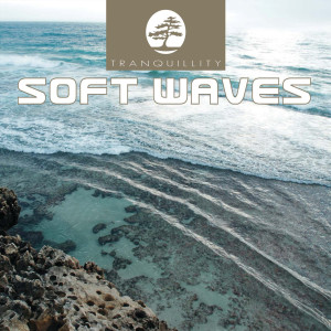 อัลบัม Soft Waves ศิลปิน Levantis & Friends
