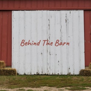 收聽Renfro Valley Boys的Who's Gonna Shoe Your Pretty Little Feet歌詞歌曲