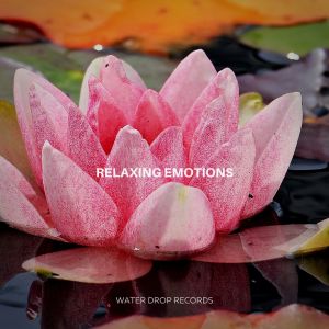 收聽Rain Sounds & Nature Sounds的Relaxing Emotions歌詞歌曲