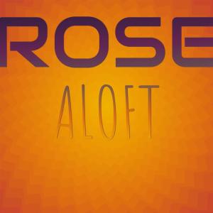 Album Rose Aloft from Various