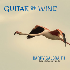 Album Guitar and the Wind from 