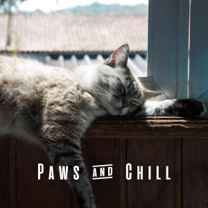 Paws & Chill: Lofi Tunes for Cat Cuddles and Chill