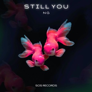Listen to Still You song with lyrics from NG
