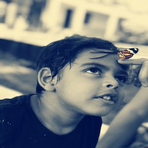 收聽Sandrão的Metamorfose歌詞歌曲