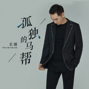 收聽王琪的孤獨的馬幫歌詞歌曲