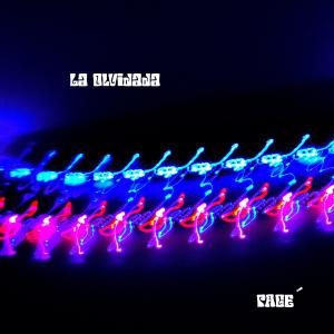Album LaOlvidada oleh PAGE