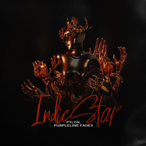 Purpleline Fades的专辑Indie Star (Explicit)