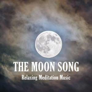 Relaxing Meditation Music的專輯The moon song