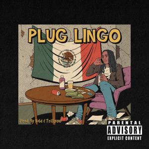 收聽Koldbeats的Plug Lingo (feat. Keezah) (Explicit)歌詞歌曲