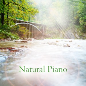ดาวน์โหลดและฟังเพลง Simple Gifts พร้อมเนื้อเพลงจาก Natural Piano Music